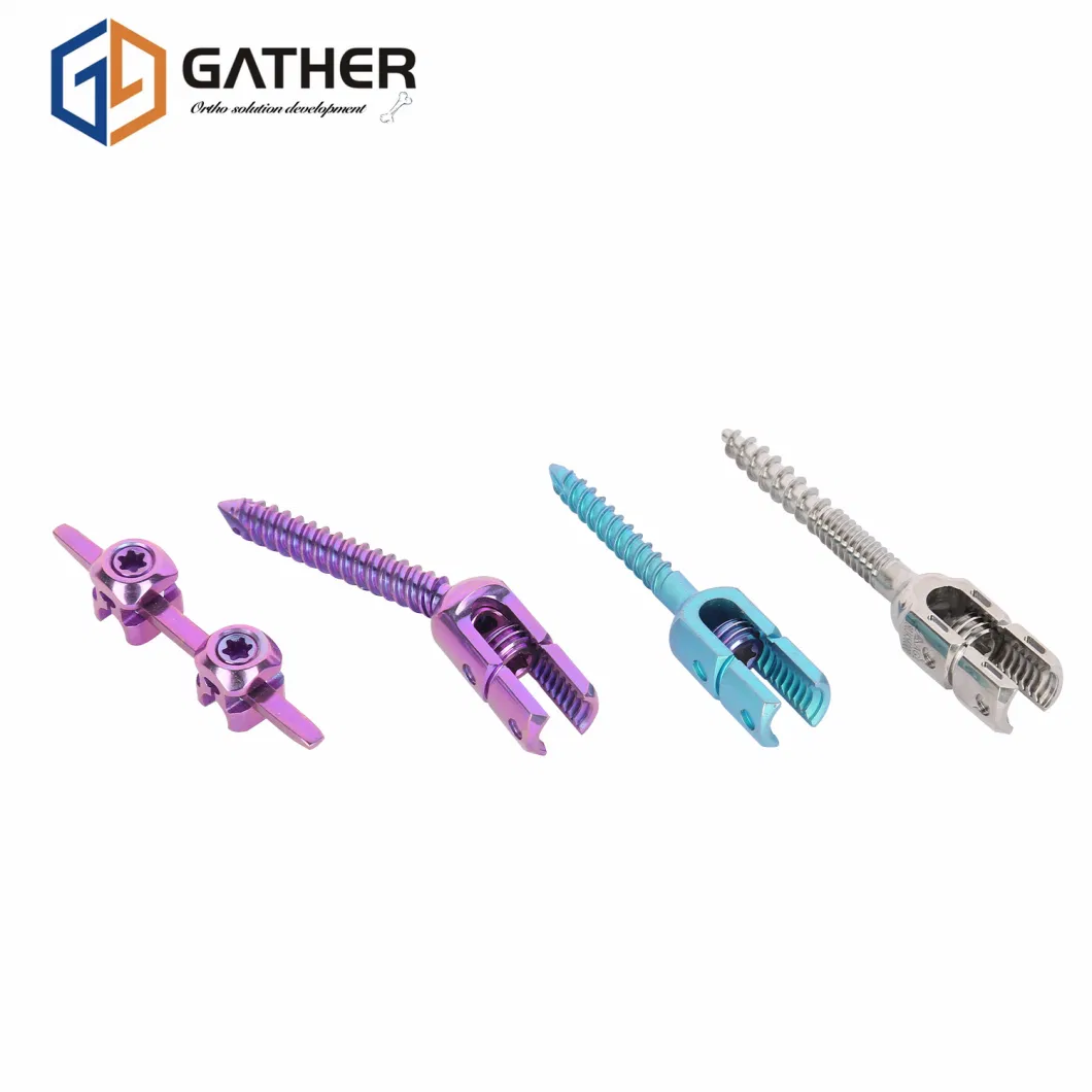 Titanium Gather Sterilized, PE Bag, Carton Package Lumbar Screw Spine Rod